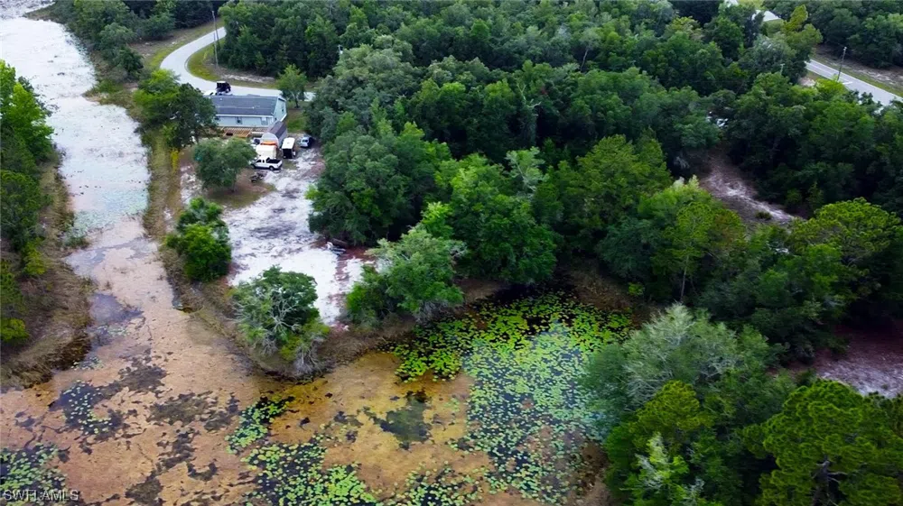 August Avenue Webster, FL 33597