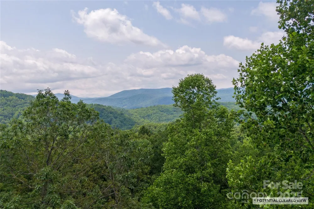 100 Ivywood Lane Laurel Park, NC 28739