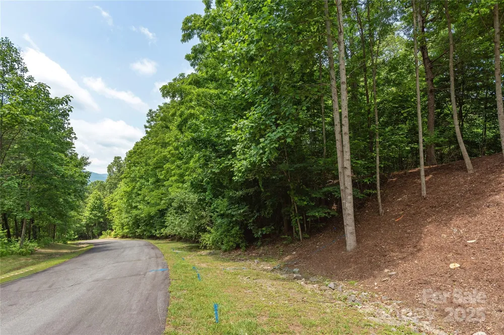 100 Ivywood Lane Laurel Park, NC 28739