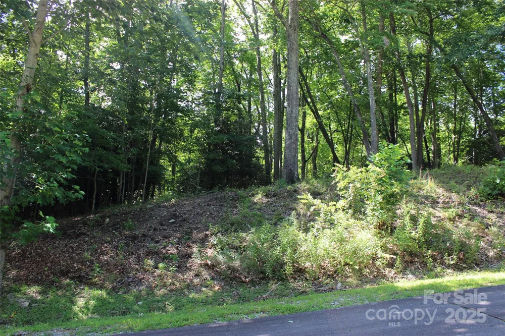 100 Ivywood Lane Laurel Park, NC 28739