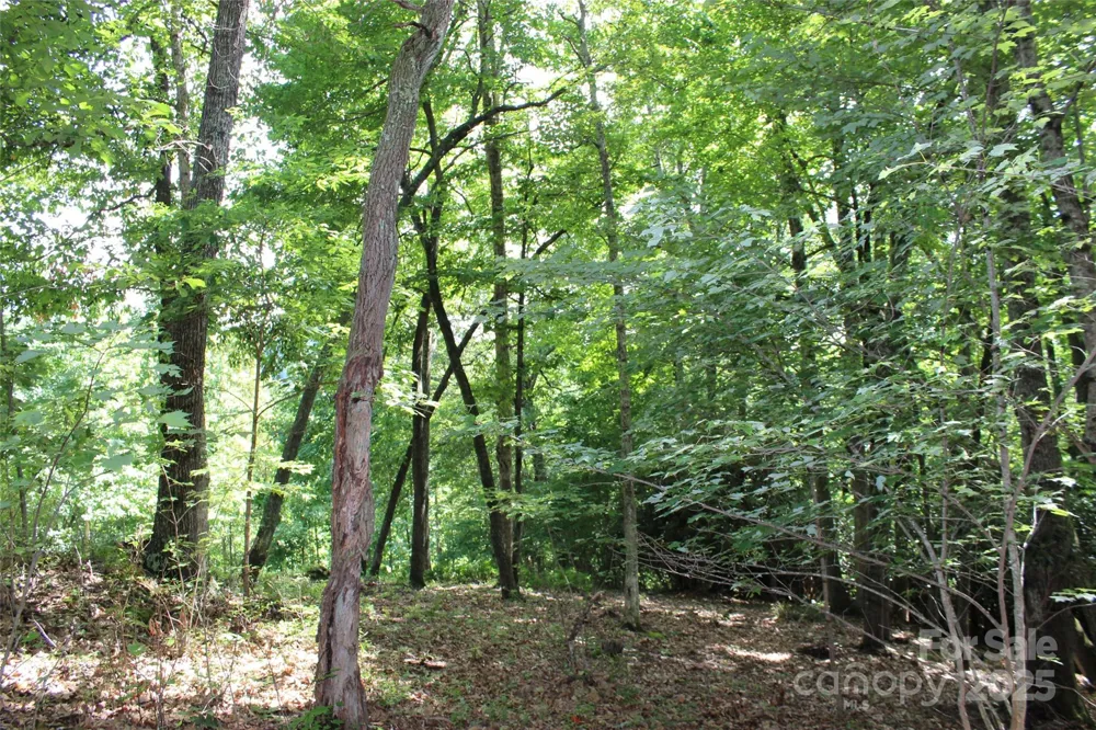100 Ivywood Lane Laurel Park, NC 28739