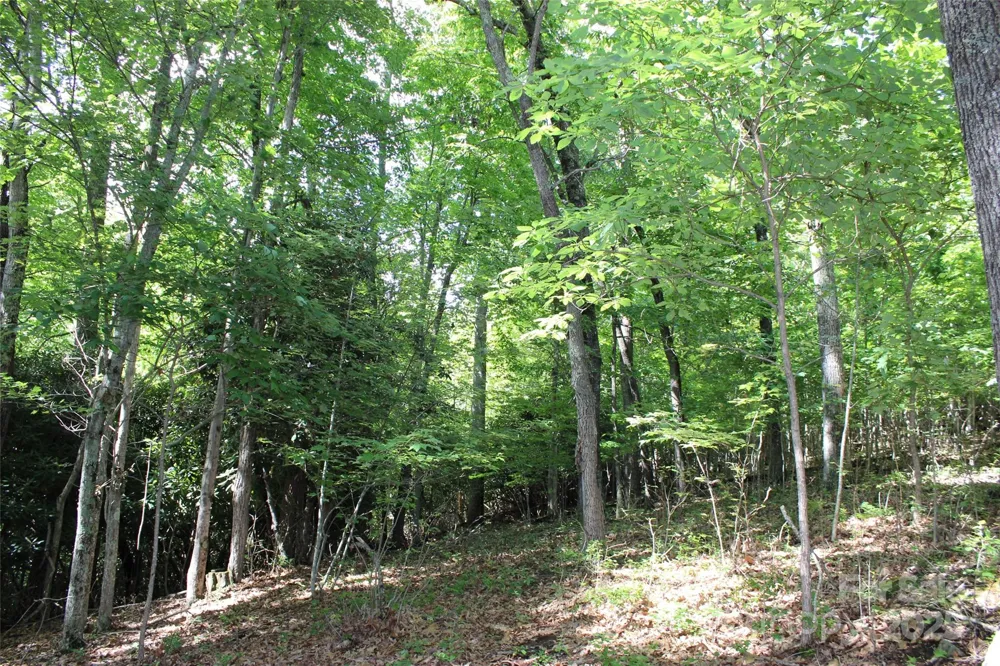 100 Ivywood Lane Laurel Park, NC 28739