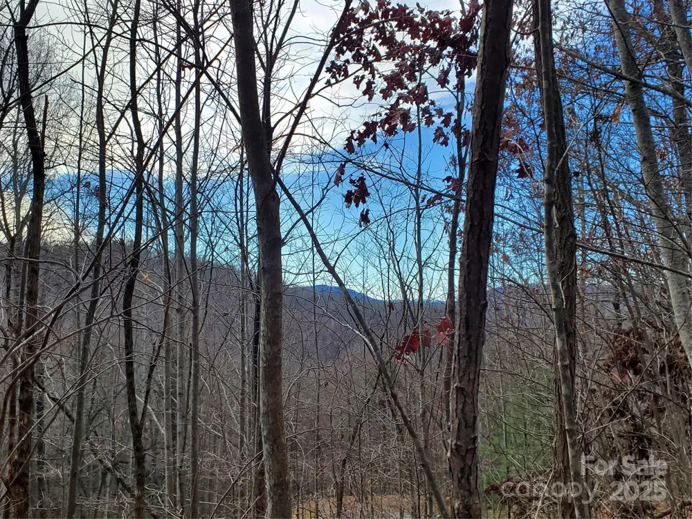 100 Ivywood Lane Laurel Park, NC 28739