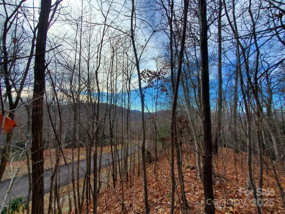 100 Ivywood Lane Laurel Park, NC 28739