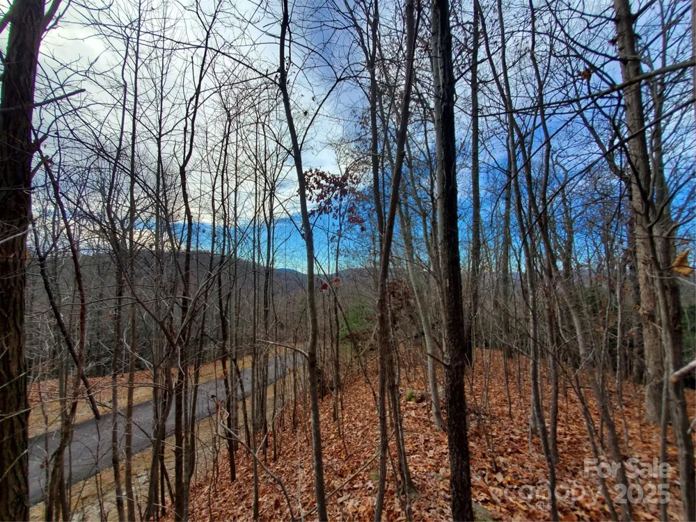 100 Ivywood Lane Laurel Park, NC 28739