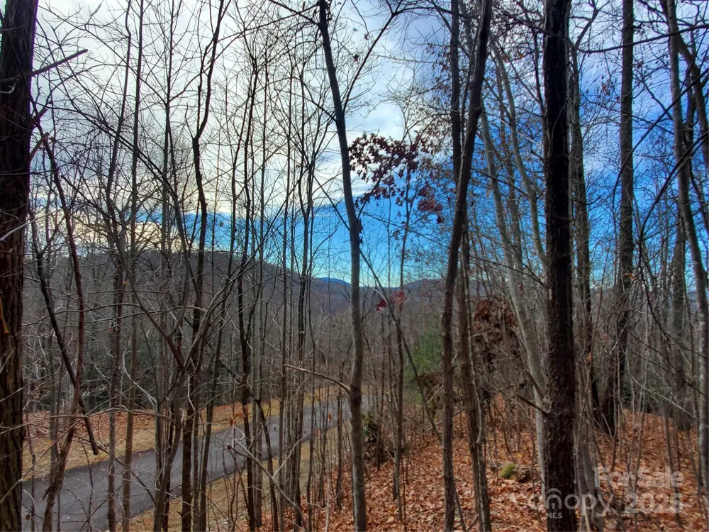 100 Ivywood Lane Laurel Park, NC 28739