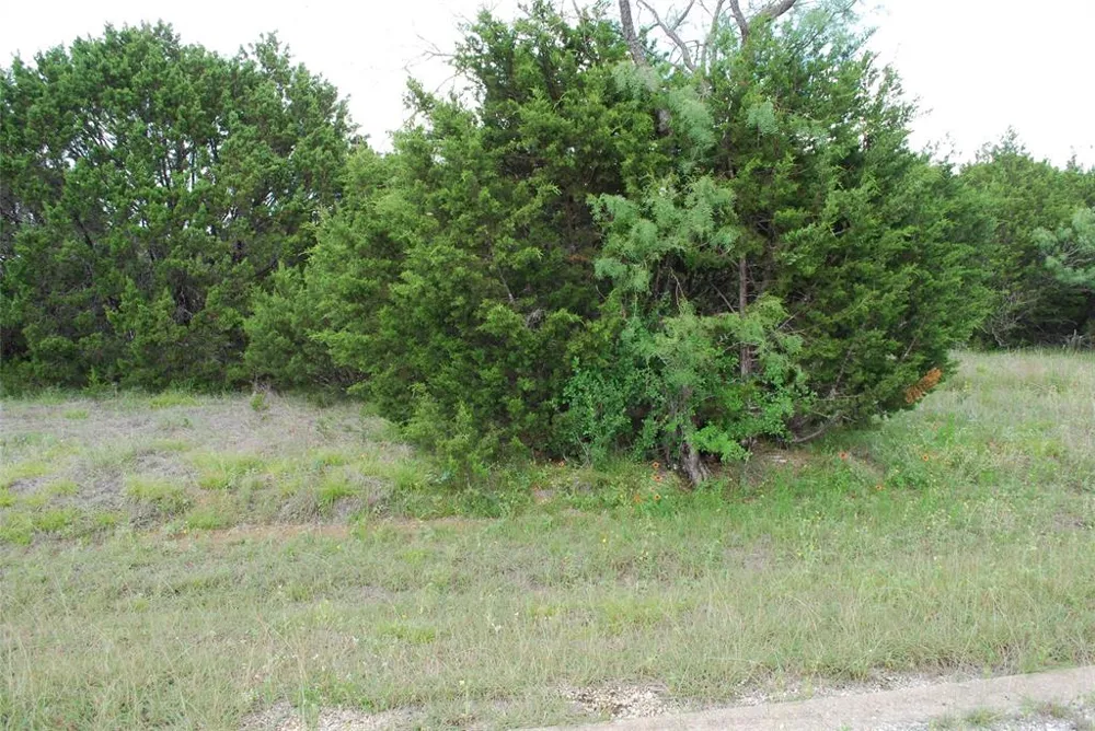 23067 Oak Ridge Drive Whitney, TX 76692