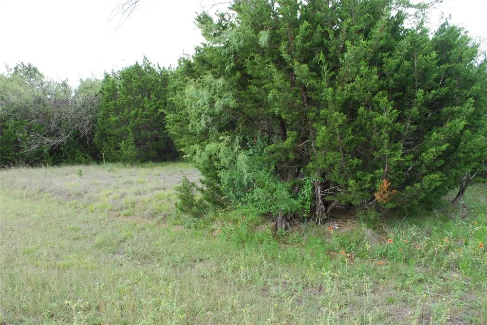 23067 Oak Ridge Drive Whitney, TX 76692