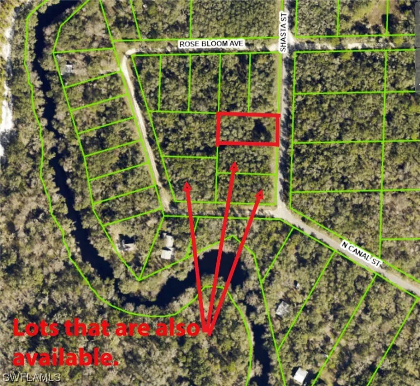 Shasta Street Webster, FL 33597