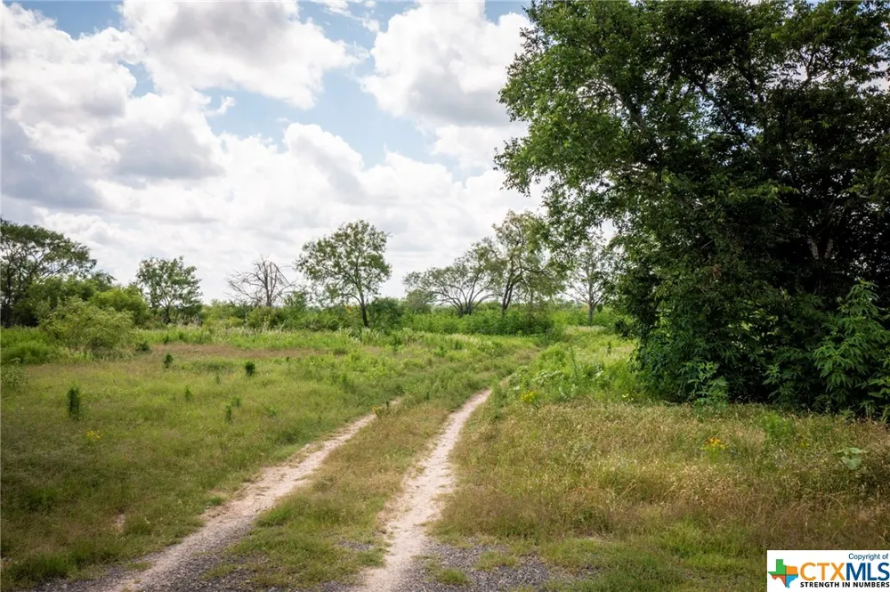 181 Pine Meadow Road Seguin, TX 78155