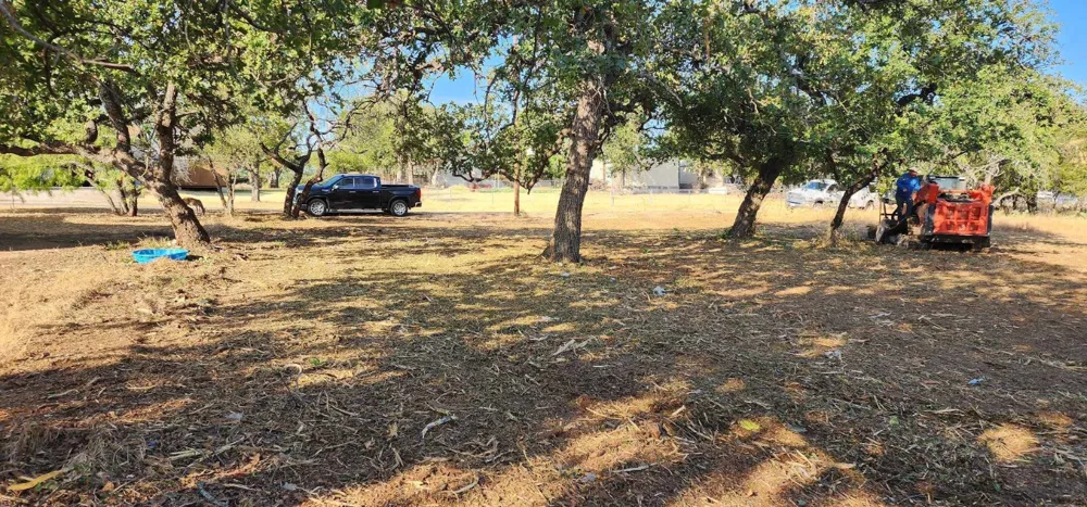 8529 Bluebonnet Granite Shoals, TX 78654