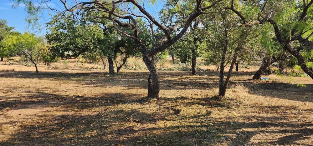 8529 Bluebonnet Granite Shoals, TX 78654