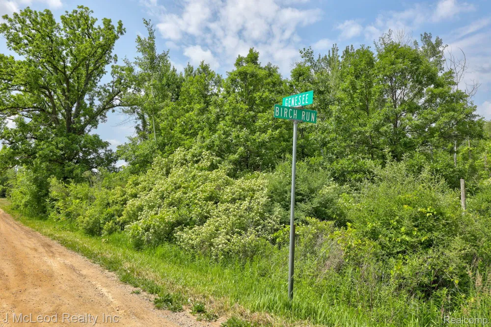 BIRCH Run Arbela Township, MI 48746