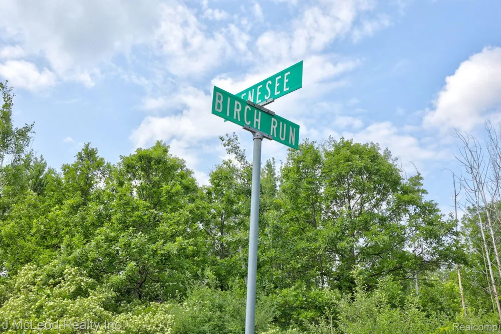 BIRCH Run Arbela Township, MI 48746