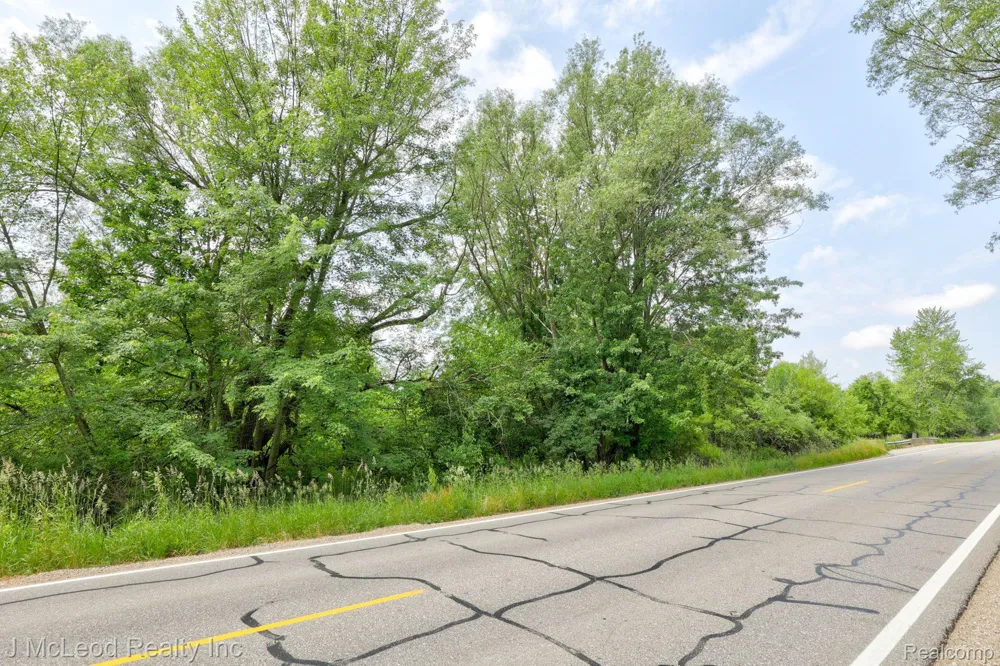 BIRCH Run Arbela Township, MI 48746