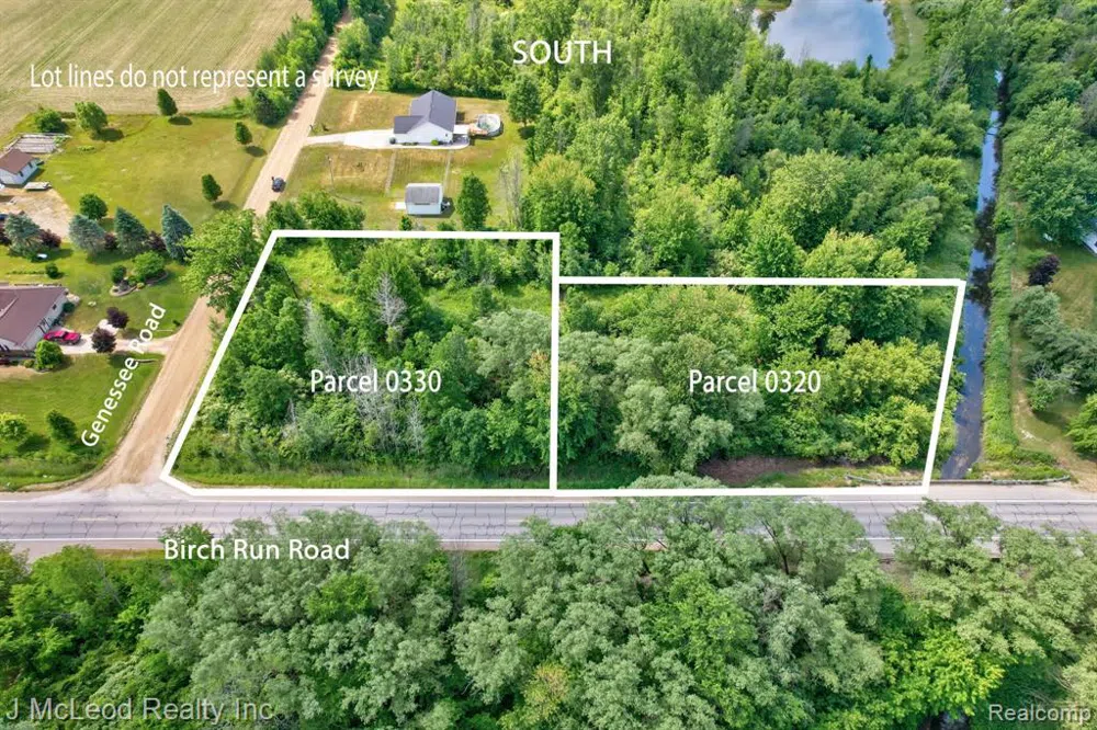 BIRCH Run Arbela Township, MI 48746