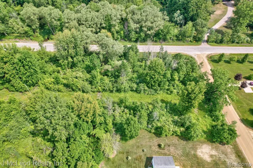 BIRCH Run Arbela Township, MI 48746