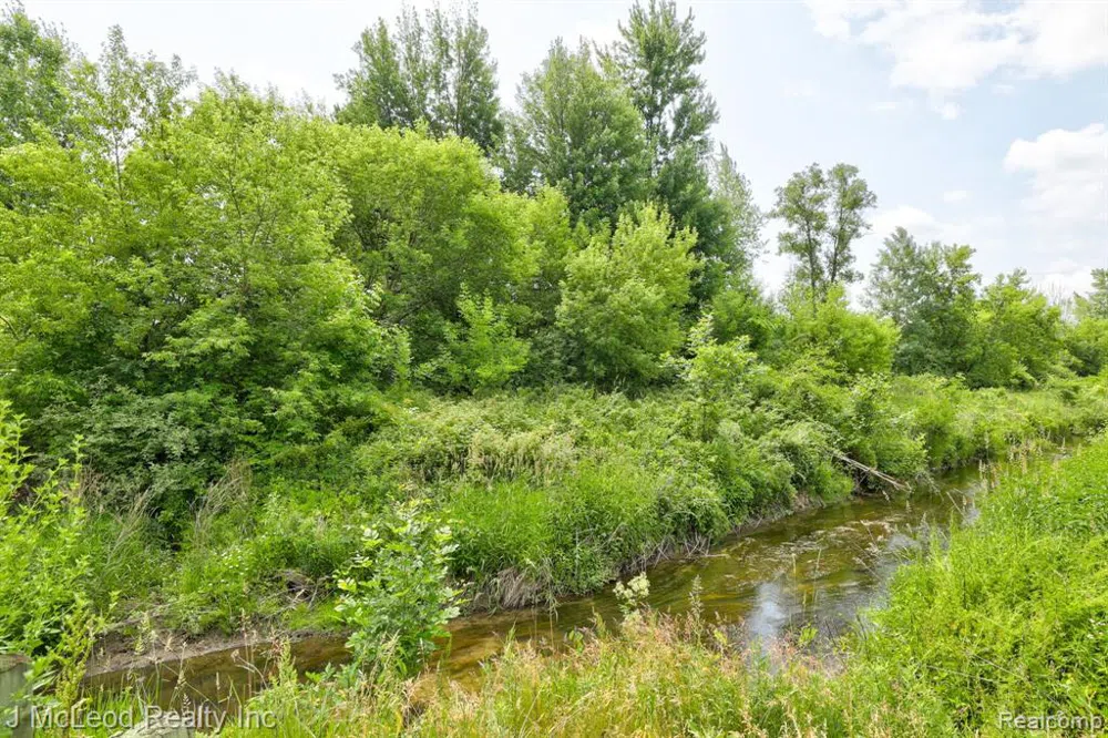 BIRCH Run Arbela Township, MI 48746