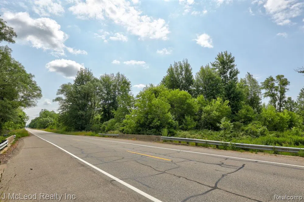 BIRCH Run Arbela Township, MI 48746