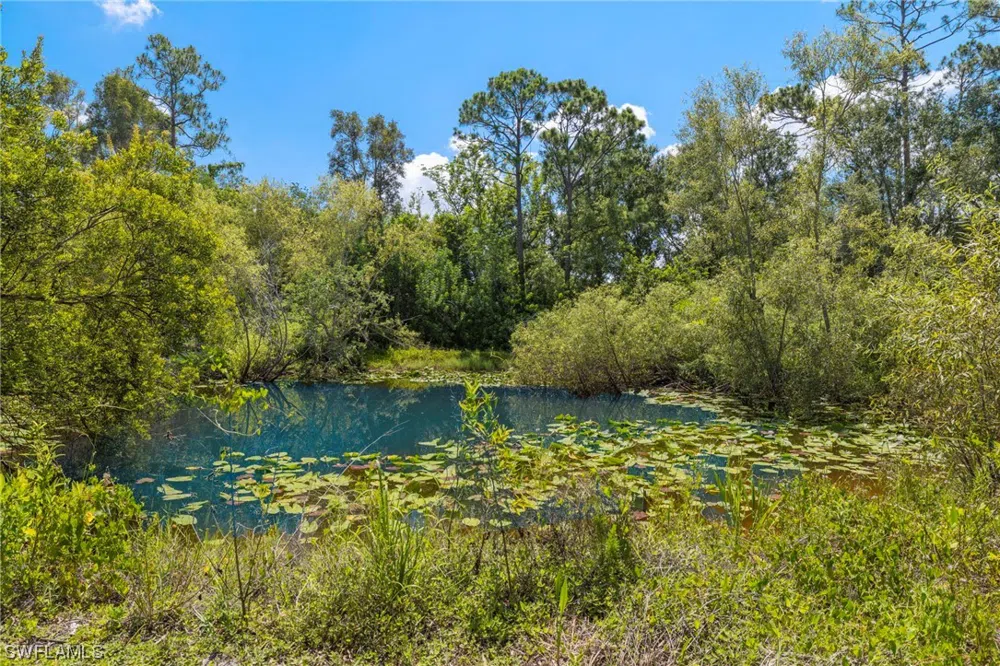 Pinto Lane Fort Myers, FL 33912