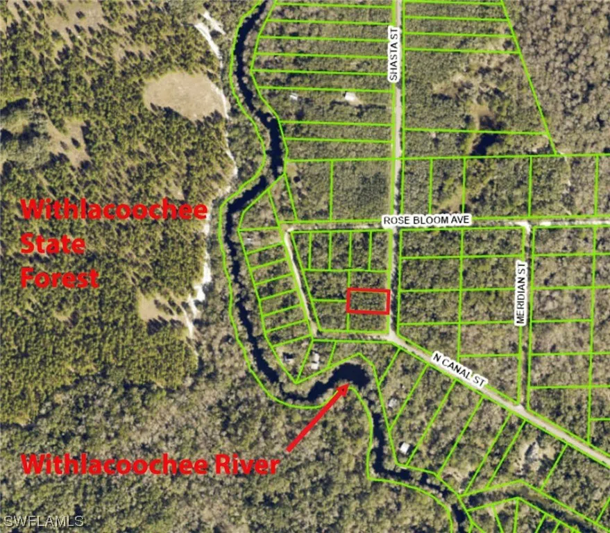 Shasta Street Webster, FL 33597