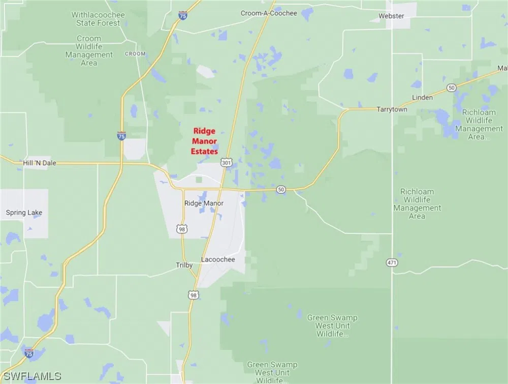 Shasta Street Webster, FL 33597