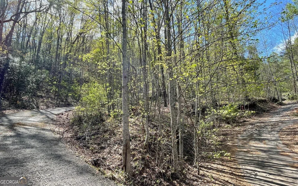 LOT 8D Eagle HTS Hiawassee, GA 30546