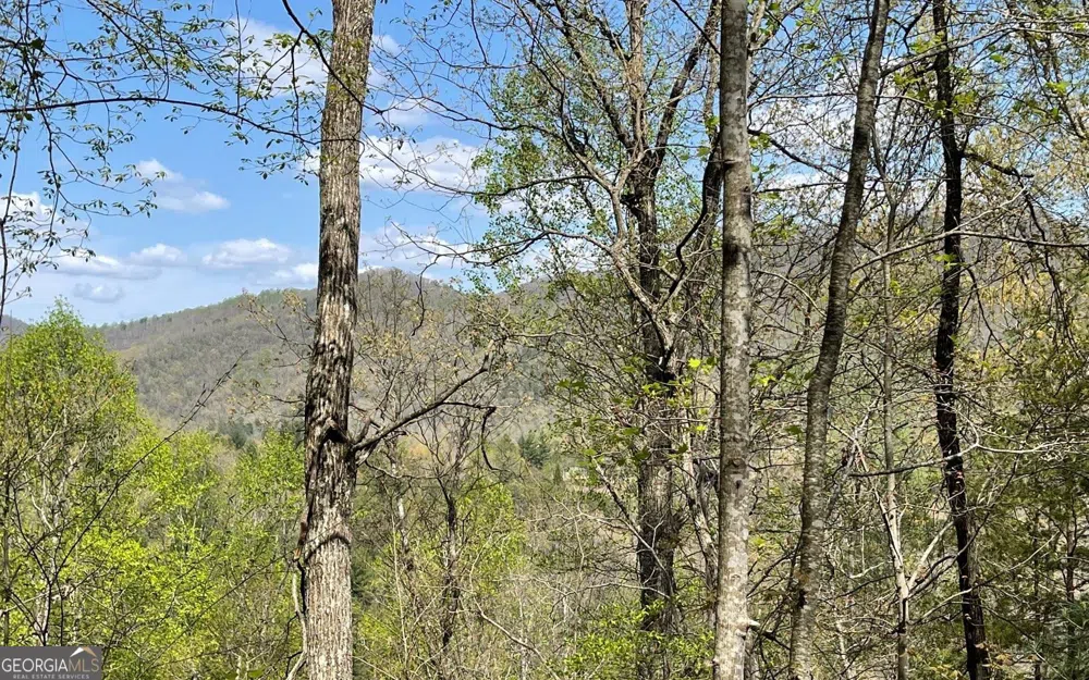 LOT 8D Eagle HTS Hiawassee, GA 30546