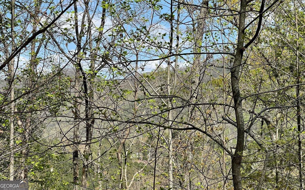LOT 8D Eagle HTS Hiawassee, GA 30546