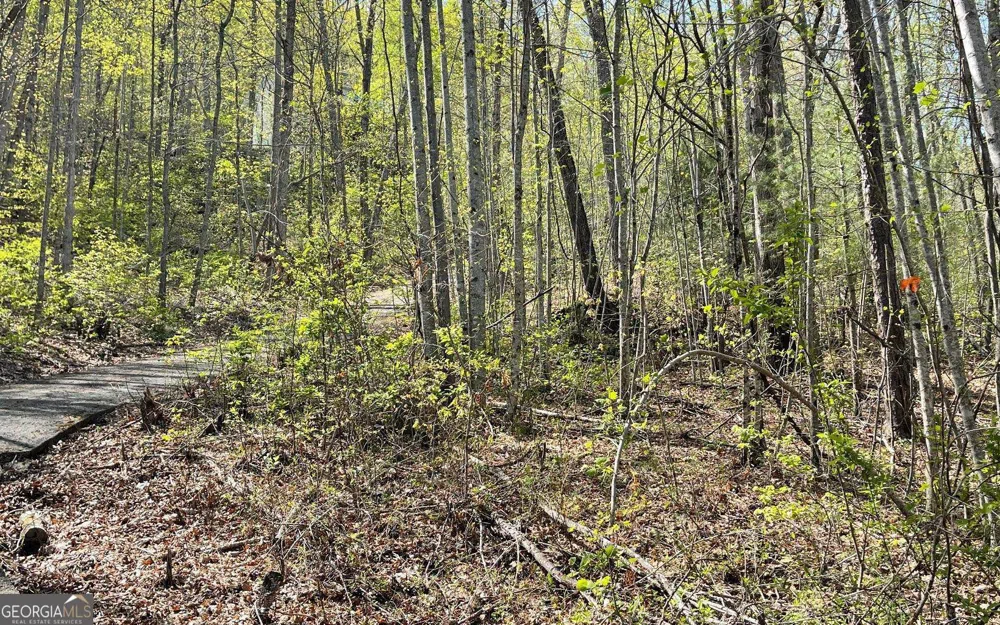 LOT 8D Eagle HTS Hiawassee, GA 30546