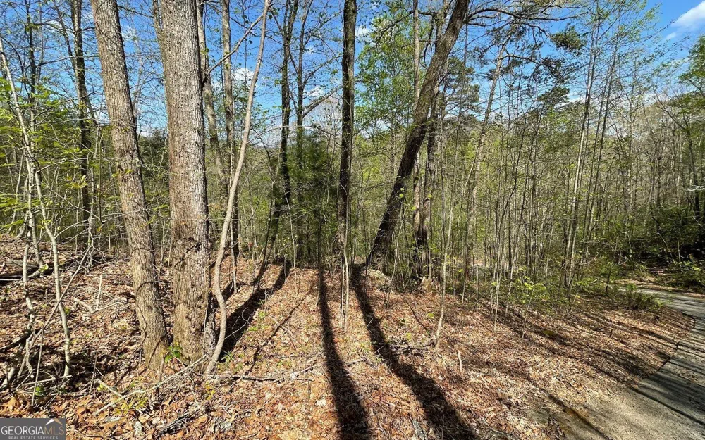 LOT 8D Eagle HTS Hiawassee, GA 30546