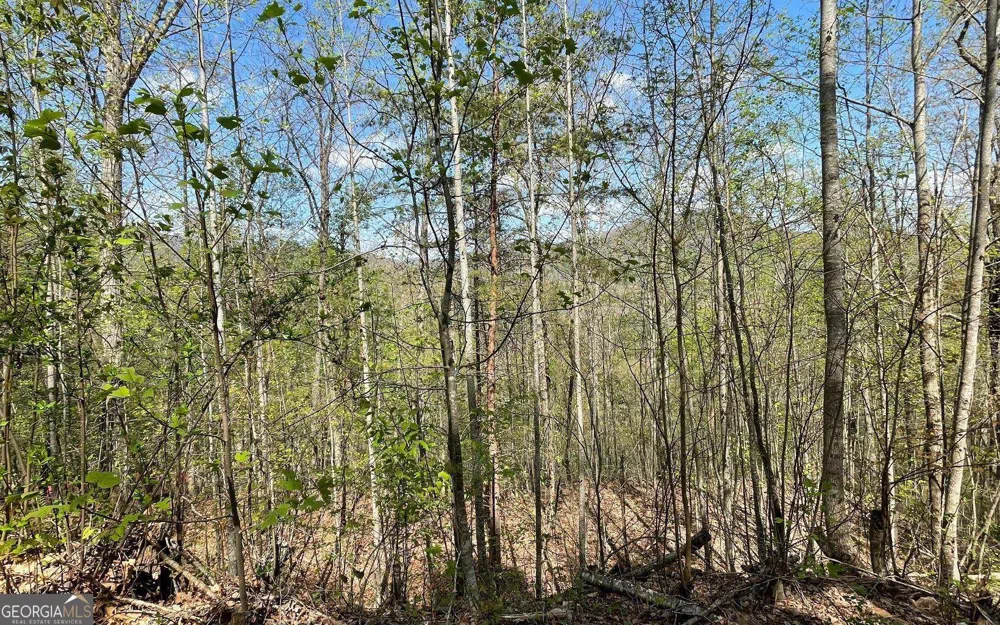 LOT 8D Eagle HTS Hiawassee, GA 30546