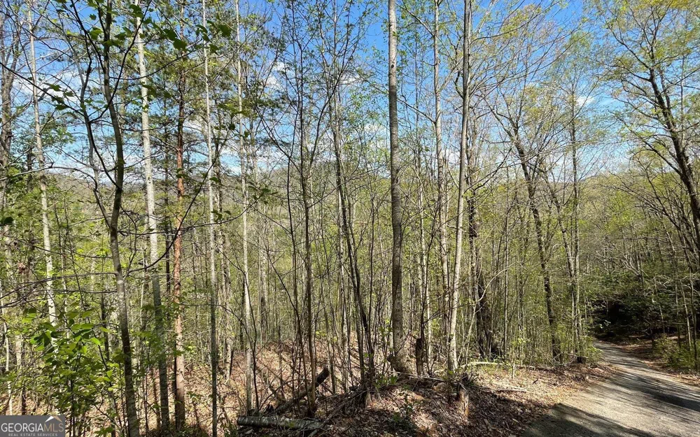 LOT 8D Eagle HTS Hiawassee, GA 30546