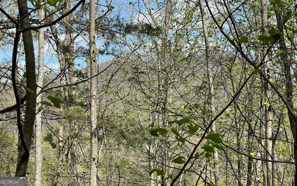 LOT 8D Eagle HTS Hiawassee, GA 30546