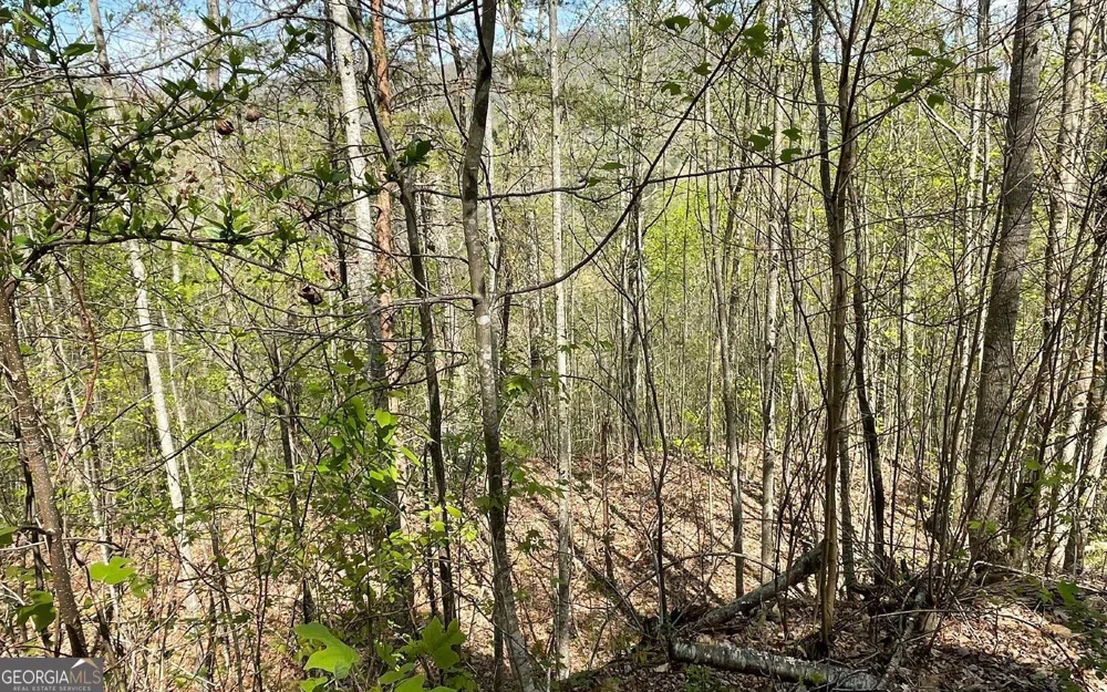 LOT 8D Eagle HTS Hiawassee, GA 30546