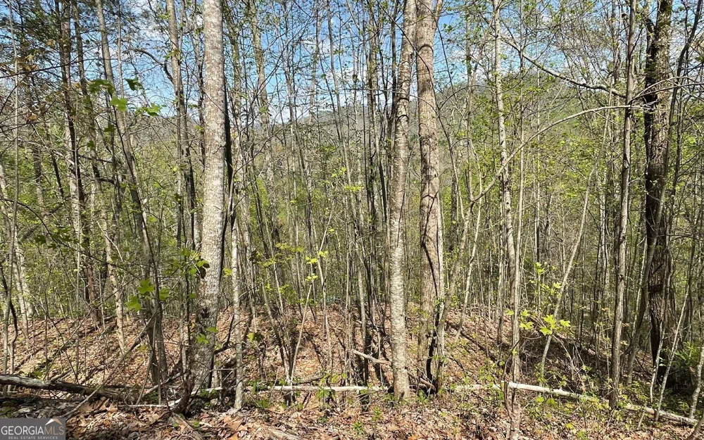LOT 8D Eagle HTS Hiawassee, GA 30546