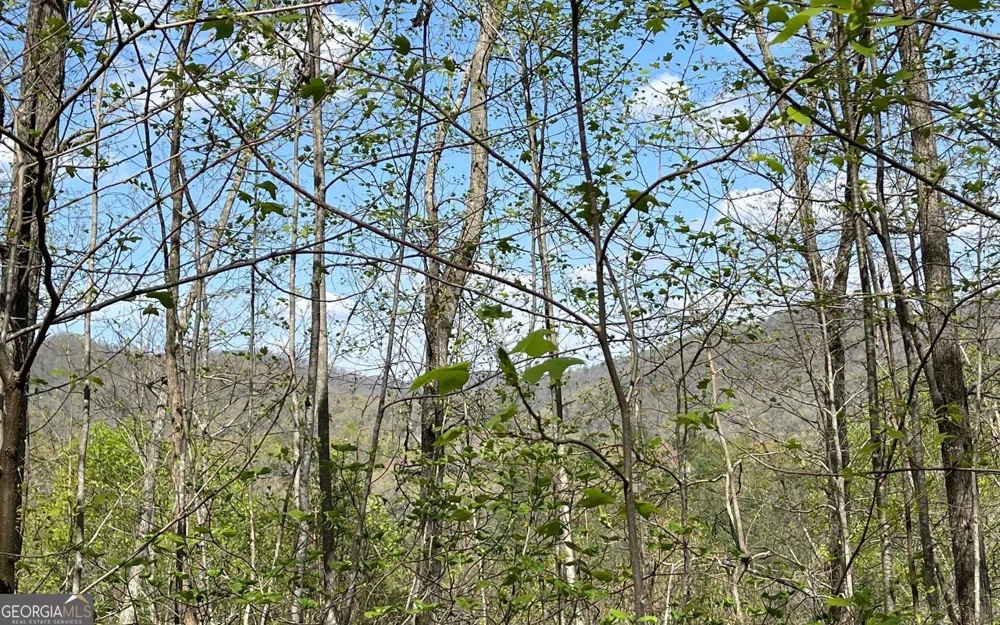 LOT 8D Eagle HTS Hiawassee, GA 30546