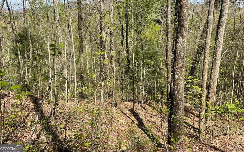 LOT 8D Eagle HTS Hiawassee, GA 30546