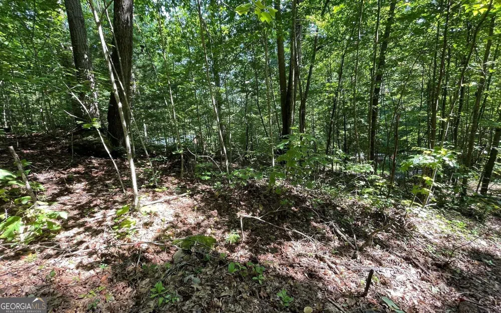LOT 8D Eagle HTS Hiawassee, GA 30546