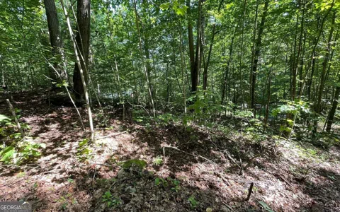 LOT 8D Eagle HTS
