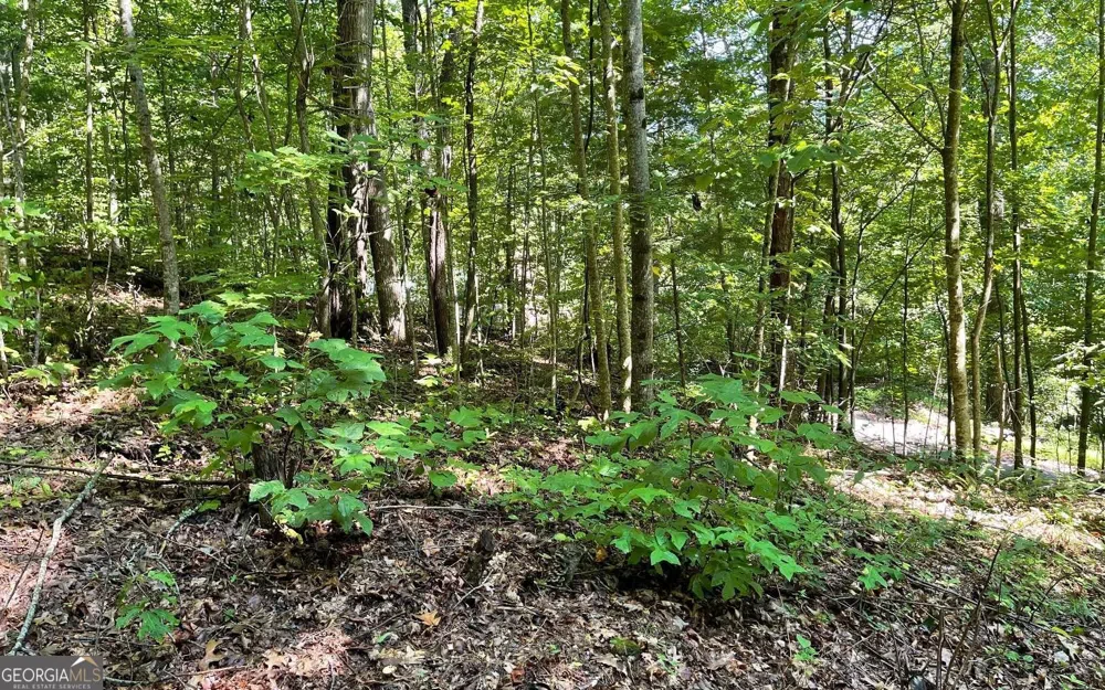 LOT 8D Eagle HTS Hiawassee, GA 30546