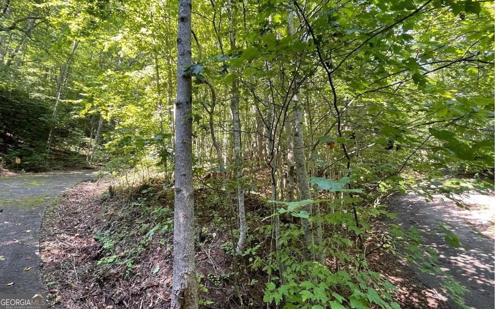 LOT 8D Eagle HTS Hiawassee, GA 30546