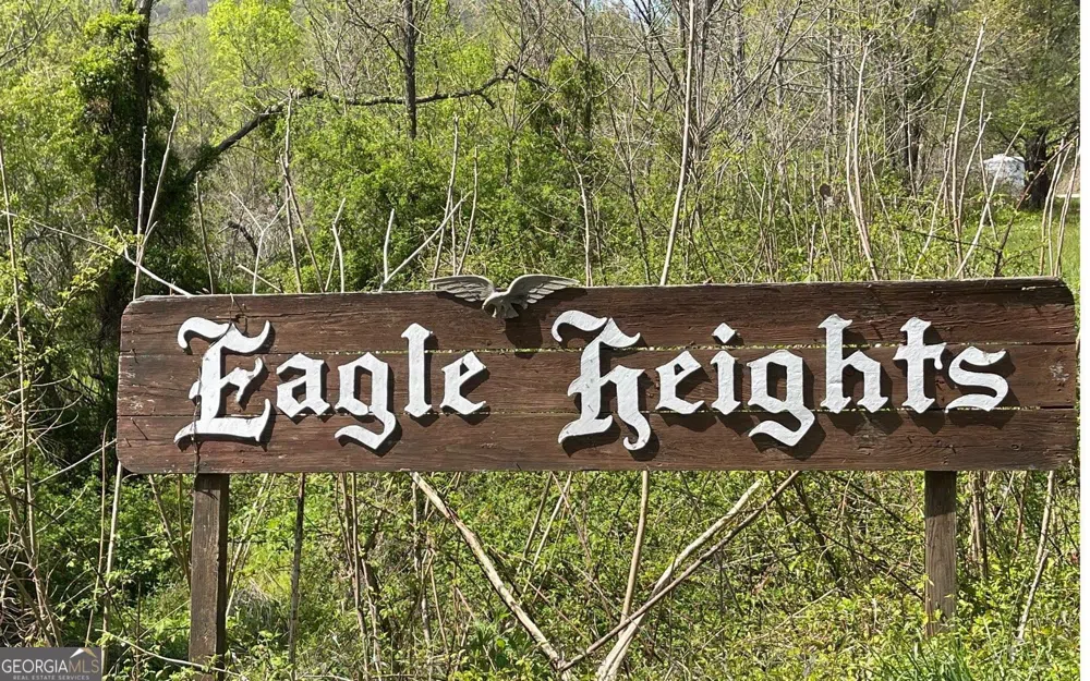 LOT 8D Eagle HTS Hiawassee, GA 30546