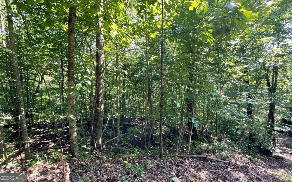 LOT 8D Eagle HTS Hiawassee, GA 30546