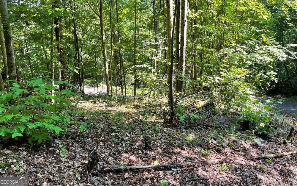 LOT 8D Eagle HTS Hiawassee, GA 30546