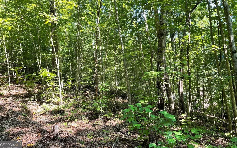 LOT 8D Eagle HTS Hiawassee, GA 30546