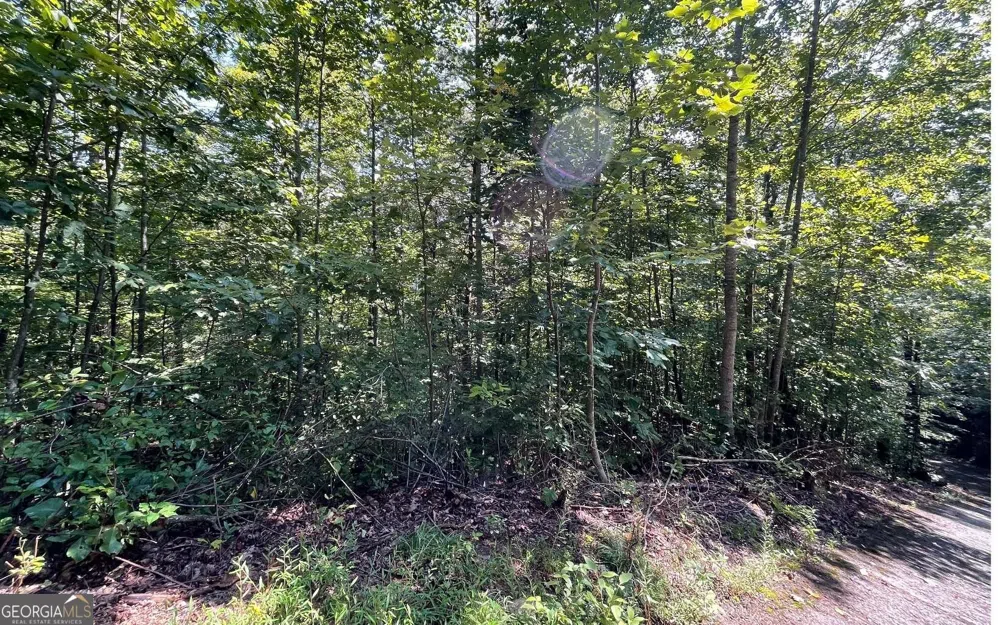 LOT 8D Eagle HTS Hiawassee, GA 30546