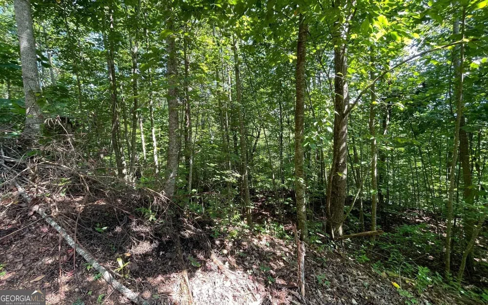 LOT 8D Eagle HTS Hiawassee, GA 30546