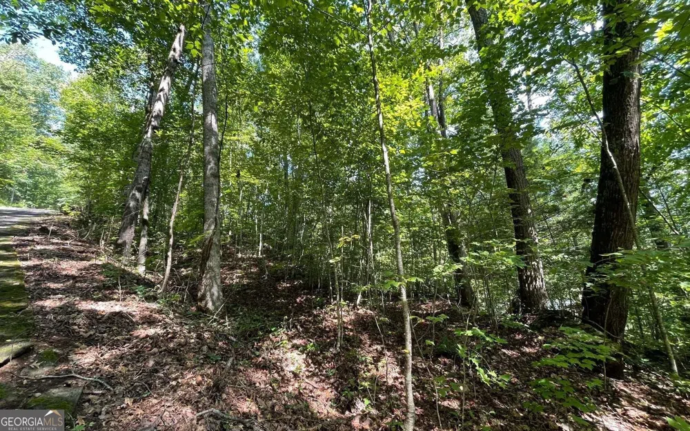 LOT 8D Eagle HTS Hiawassee, GA 30546
