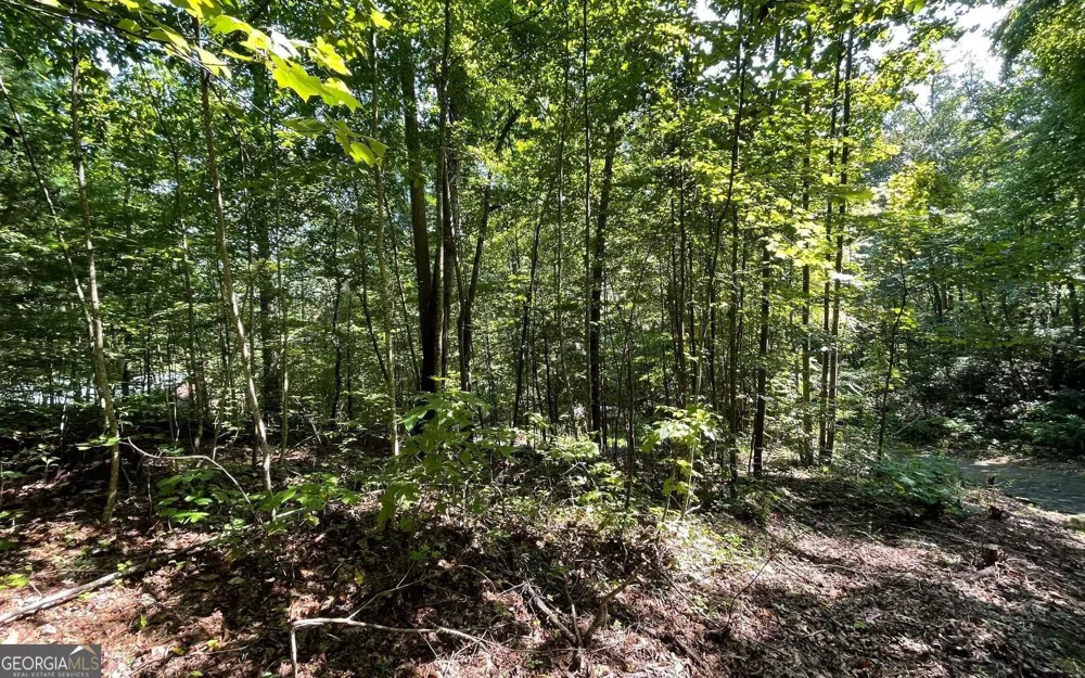 LOT 8D Eagle HTS Hiawassee, GA 30546